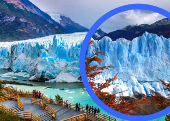 Exciting and Enriching Tours