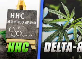 Cannabinoids A Comparison of HHC and Delta-8