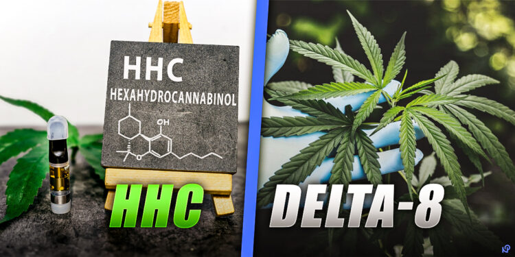 Cannabinoids A Comparison of HHC and Delta-8