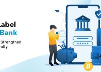 Things to Remember About the White Label Digital Banking