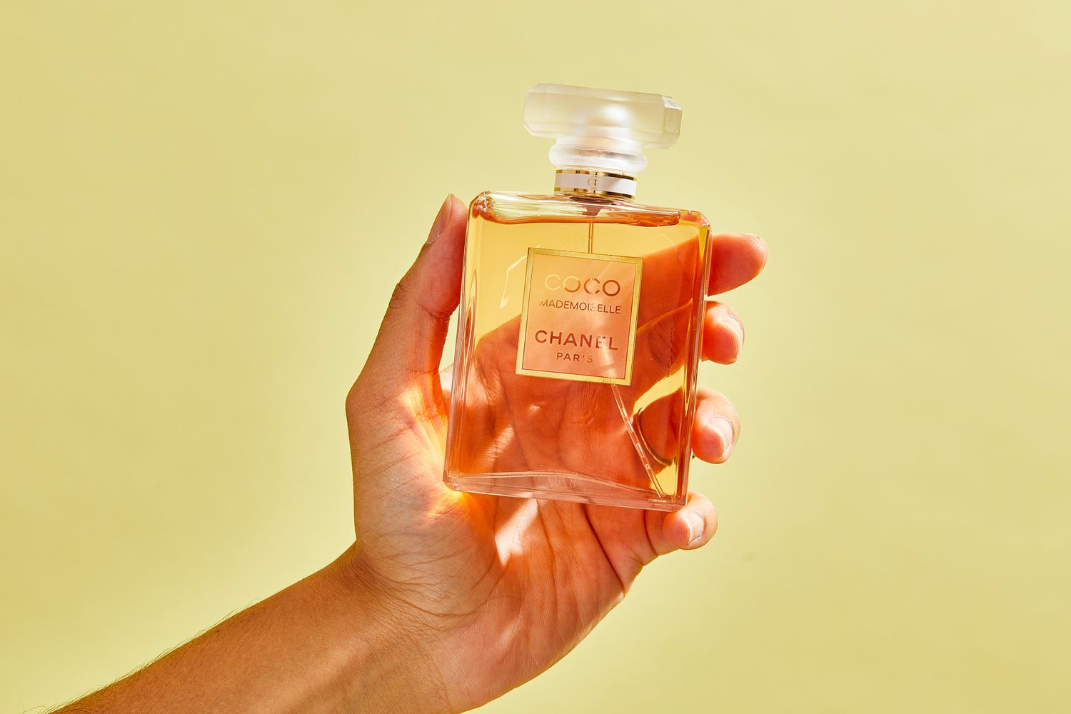 Dossier Vs Le Labo A Detailed Comparison of The Top Rated Affordable