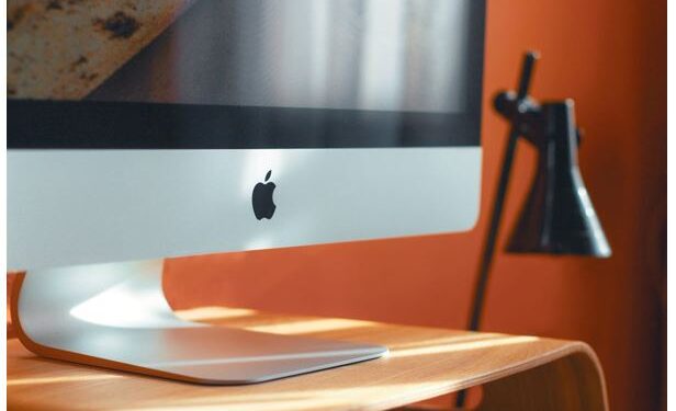 The Fundamentals of Effective Branding to Build a Lasting Identity