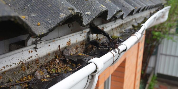 How Clogged Gutters Can Impact Your Home’s Energy Efficiency