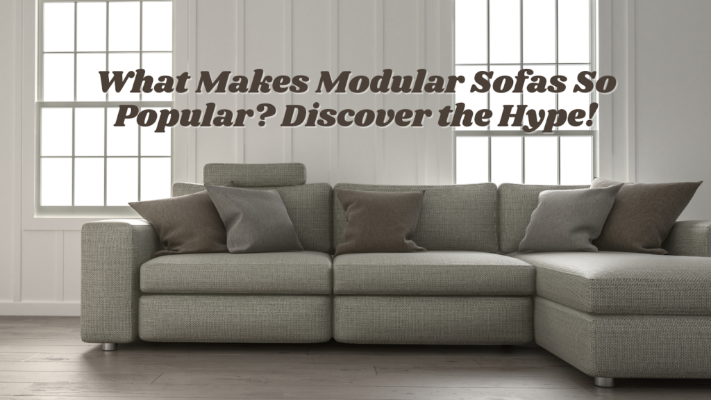 What Makes Modular Sofas So Popular? Discover the Hype! - News Pioneer