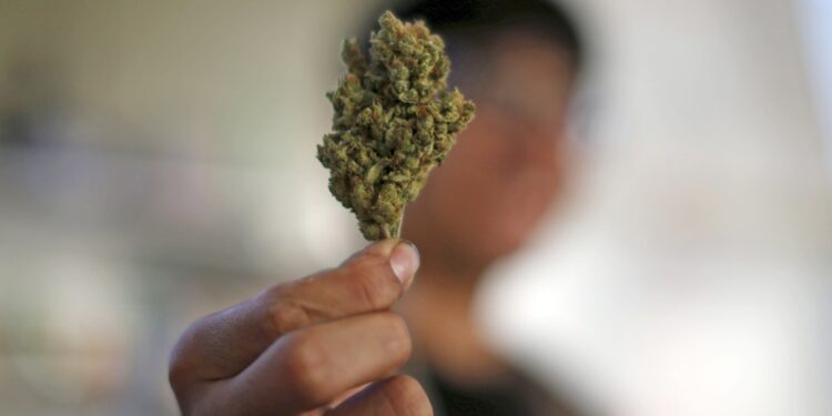 The Ultimate Guide to Selecting a Quality Marijuana Dispensary