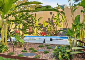 Transforming Spaces: The Art of Landscaping in Brisbane