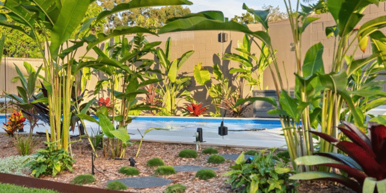 Transforming Spaces: The Art of Landscaping in Brisbane