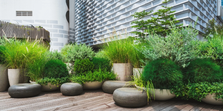 Maximising Small Spaces: The Beauty of Large Plant Pots in Urban Gardens