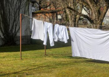 Why Your Clothes Smell Worse in Summer And How Proper Laundry Helps