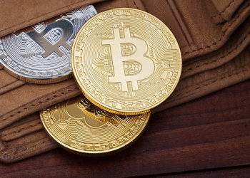 Keeping Your Crypto Safe: A Simple Guide to Wallets