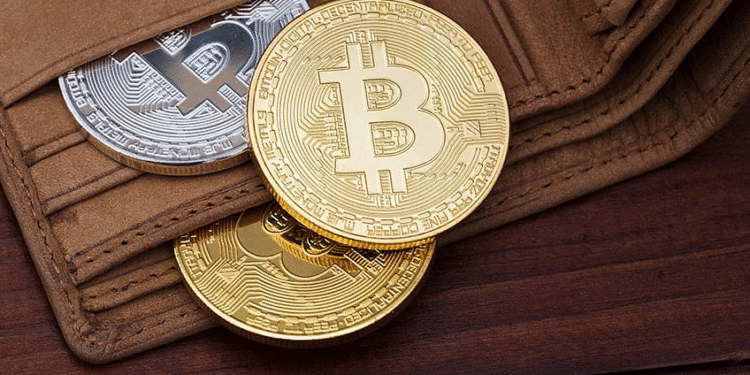 Keeping Your Crypto Safe: A Simple Guide to Wallets