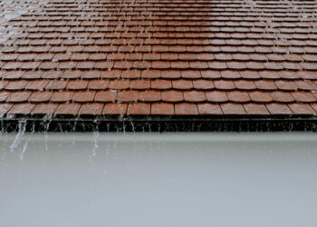 The Top 5 Signs Your Roof Is Failing