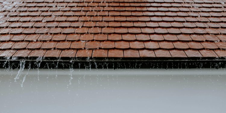 The Top 5 Signs Your Roof Is Failing