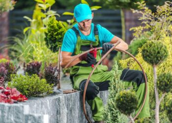 How to Design a Low-Maintenance Garden That Still Looks Lush