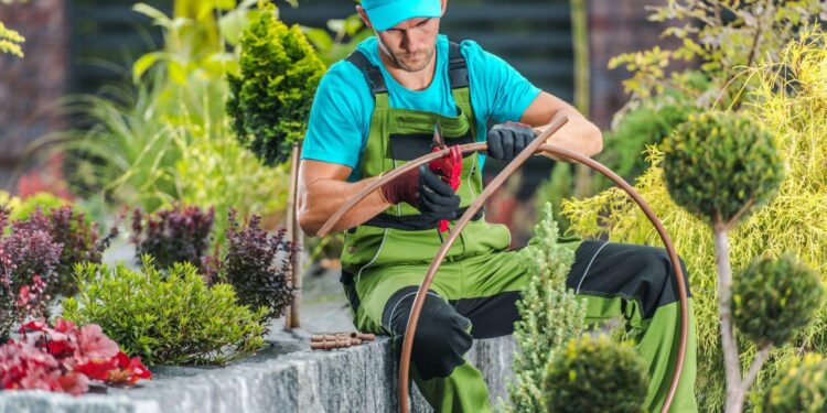 How to Design a Low-Maintenance Garden That Still Looks Lush