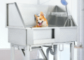 From Messy to Stress-Free: How a Dog Wash Station Transforms Grooming at Home