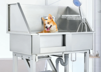 From Messy to Stress-Free: How a Dog Wash Station Transforms Grooming at Home