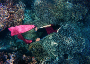 Scuba Diving in Maldives: A Journey Into an Underwater Paradise