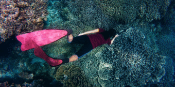 Scuba Diving in Maldives: A Journey Into an Underwater Paradise