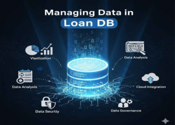 Best Practices for Managing Data in Loan DB