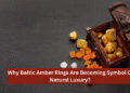 Why Baltic Amber Rings Are Becoming Symbol Of Natural Luxury?