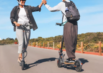 Electric Scooters