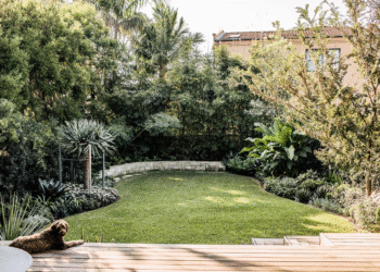Transform Your Garden with the Best Landscapers in Sydney
