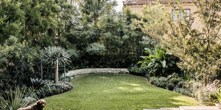 Transform Your Garden with the Best Landscapers in Sydney