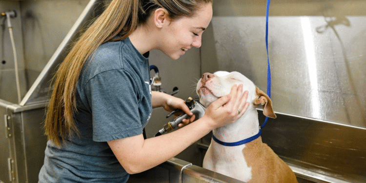 The Secret to Keeping a Fresh-Smelling Home if You Have Pets