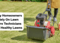 Why Homeowners Rely On Lawn Care Technicians For Healthy Lawns