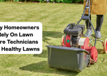 Why Homeowners Rely On Lawn Care Technicians For Healthy Lawns
