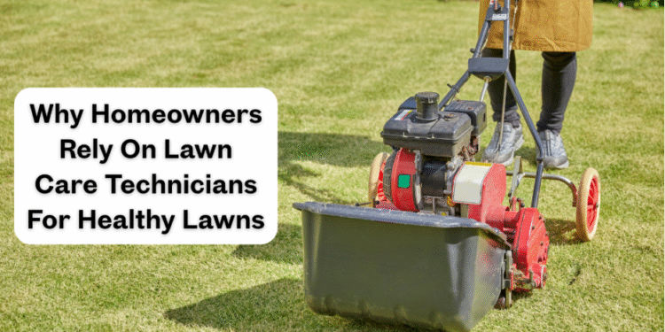 Why Homeowners Rely On Lawn Care Technicians For Healthy Lawns