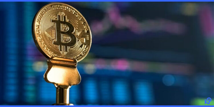 Is Coyyn.com Crypto Worth Paying Attention To? Here’s What You Should Know