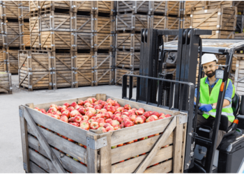 Food Logistics in the UK Is No Longer Optional — It’s a Growth Strategy