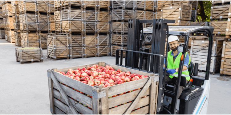 Food Logistics in the UK Is No Longer Optional — It’s a Growth Strategy