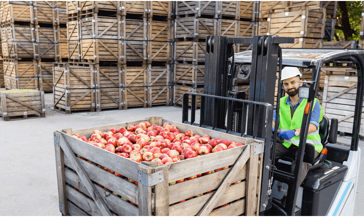 Food Logistics in the UK Is No Longer Optional — It’s a Growth Strategy